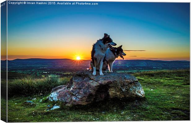  Magical sunset, me & you. Lovely dogs at sunset i Canvas Print by Imran Hashmi