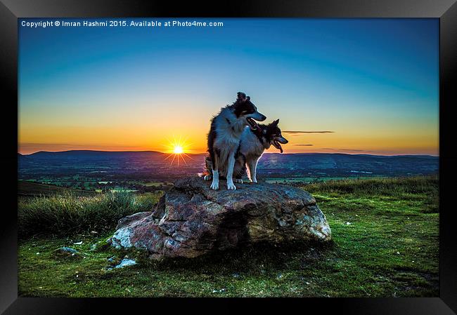  Magical sunset, me & you. Lovely dogs at sunset i Framed Print by Imran Hashmi