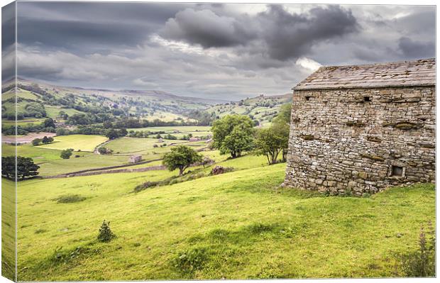  Cow House in Swaledale Canvas Print by Stephen Mole