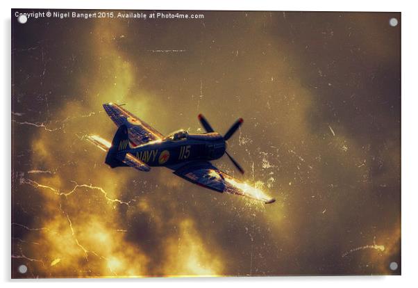  Hawker Sea Fury Acrylic by Nigel Bangert