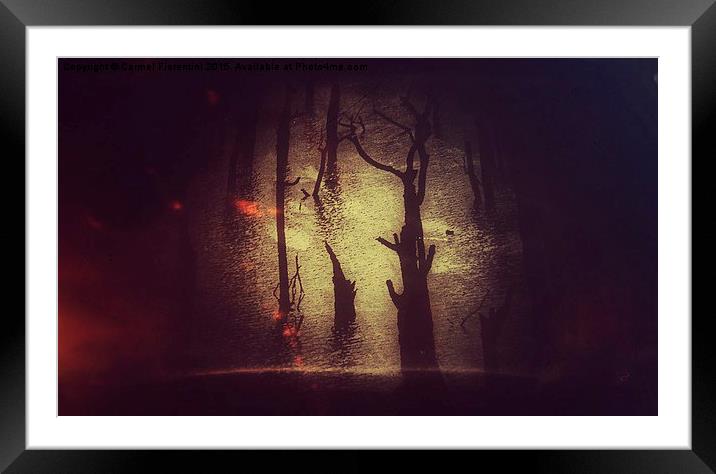  Into the woods Framed Mounted Print by Carmel Fiorentini