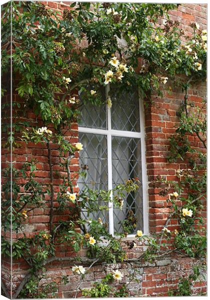 Window and yellow climbing rose Canvas Print by Ruth Hallam