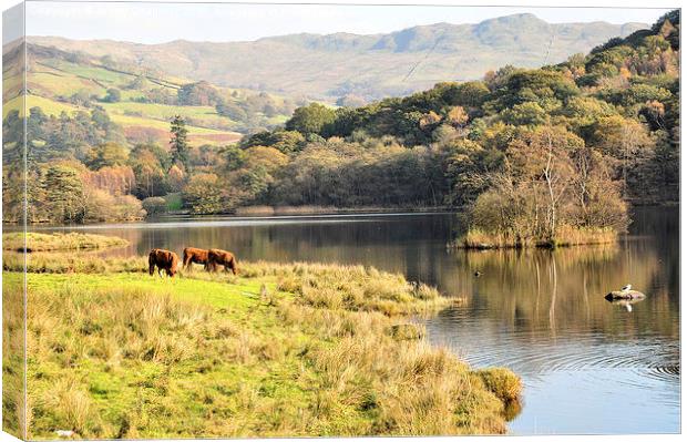  Rydal Water  Canvas Print by Jenny Challinor 