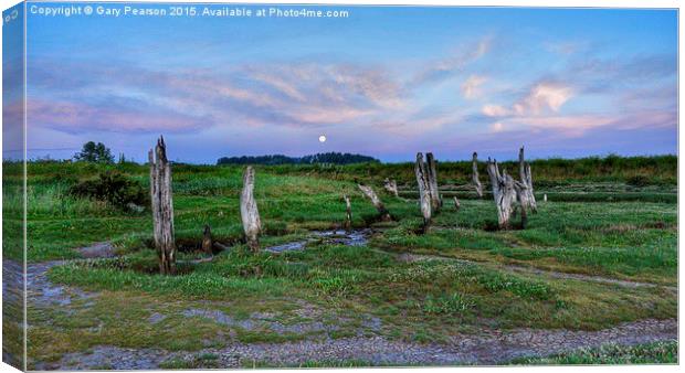 A setting moon over the old wooden stumps at Thorn Canvas Print by Gary Pearson