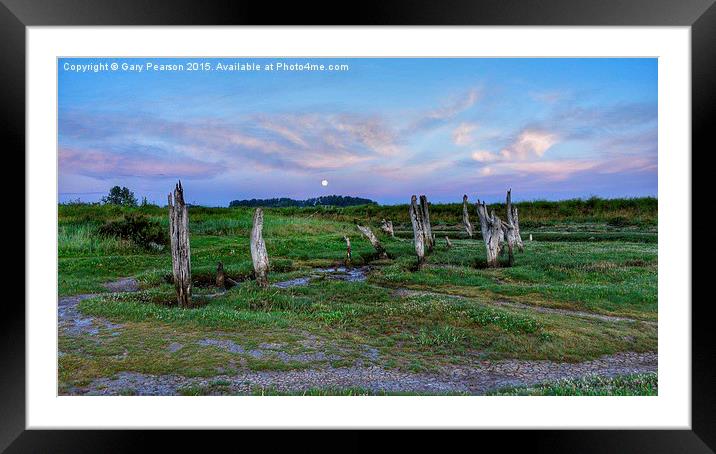 A setting moon over the old wooden stumps at Thorn Framed Mounted Print by Gary Pearson