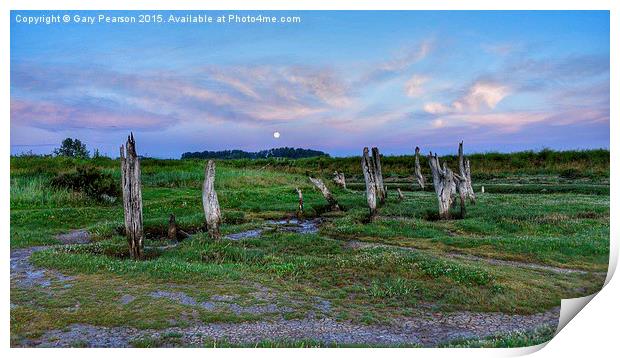 A setting moon over the old wooden stumps at Thorn Print by Gary Pearson