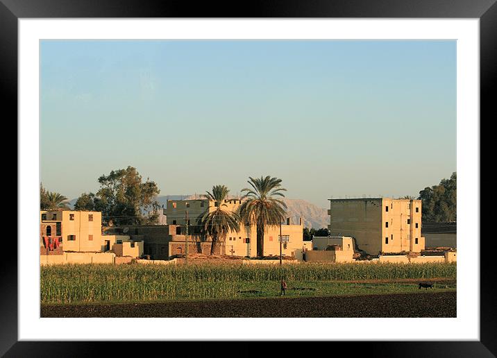 Houses along the River Nile Framed Mounted Print by Ruth Hallam