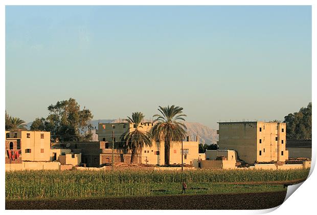 Houses along the River Nile Print by Ruth Hallam