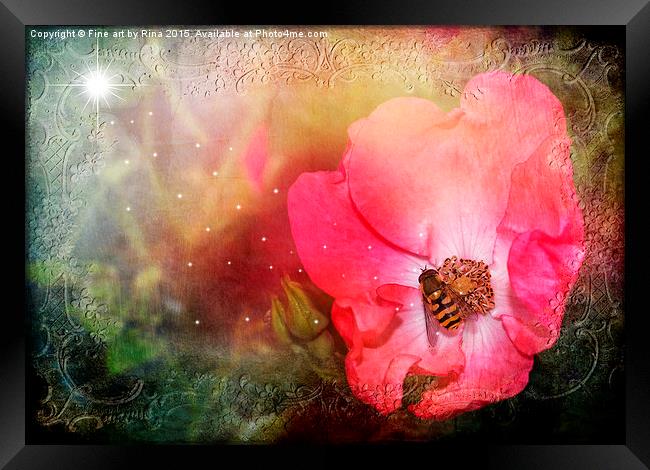  Nature Framed Print by Fine art by Rina