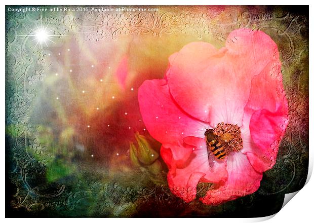  Nature Print by Fine art by Rina