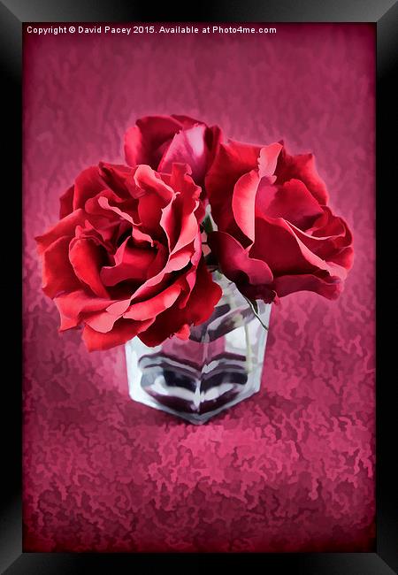  ROSE 2 Framed Print by David Pacey