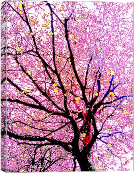  Psychadellic tree Canvas Print by Teresa Moore
