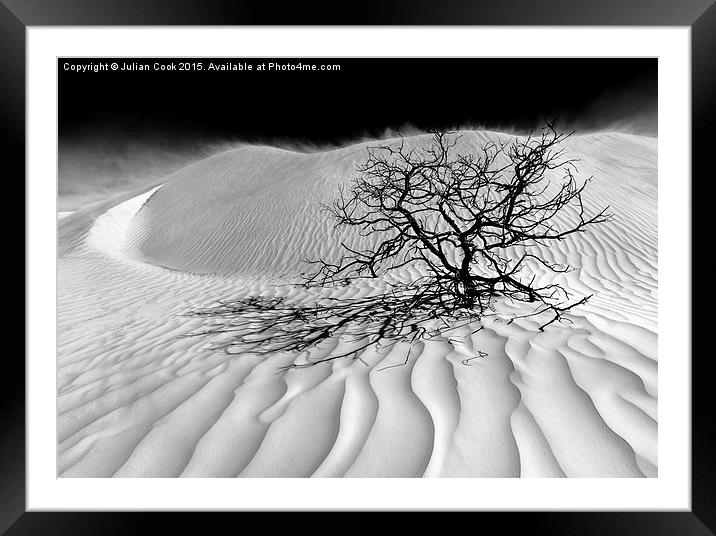 Sand Storm  Framed Mounted Print by Julian Cook