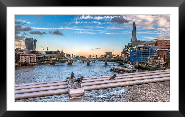 View along the River Thames Framed Mounted Print by Colin Evans