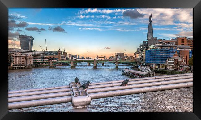 View along the River Thames Framed Print by Colin Evans