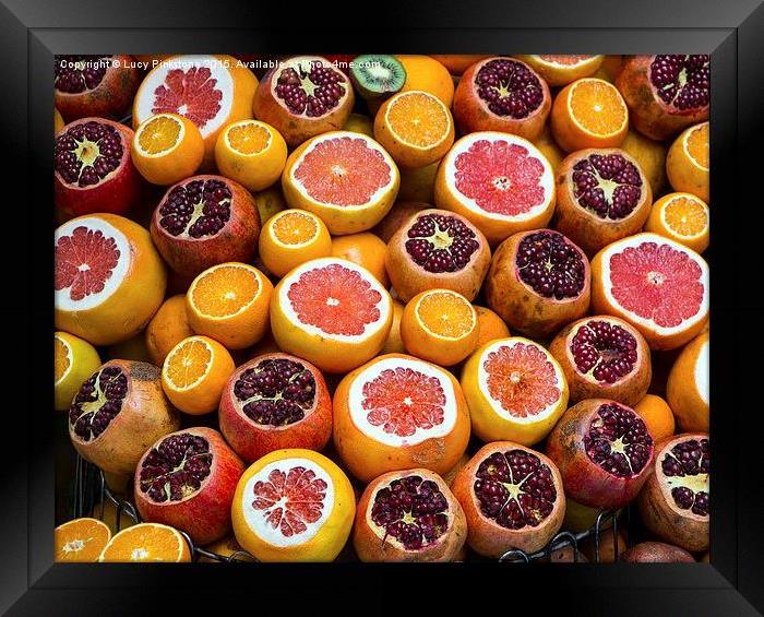  Oranges Are Not The Only Fruit Framed Print by Lucy Pinkstone