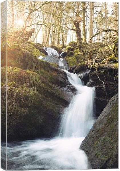  Flowing stream Canvas Print by Dean Merry