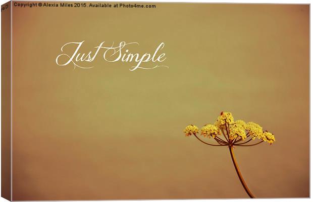  Just Simple Canvas Print by Alexia Miles