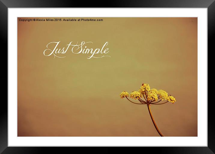  Just Simple Framed Mounted Print by Alexia Miles