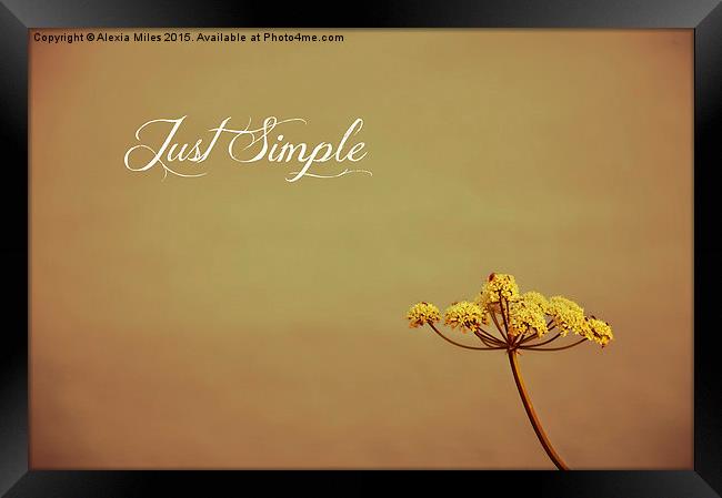  Just Simple Framed Print by Alexia Miles