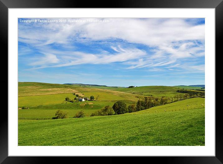 The green grass of home Framed Mounted Print by Tanya Lowery