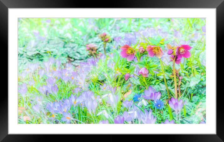  In An English Garden Framed Mounted Print by Colin Evans