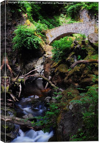  Aira Beck Canvas Print by James Wood