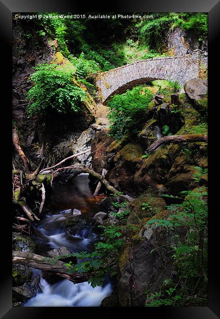  Aira Beck Framed Print by James Wood