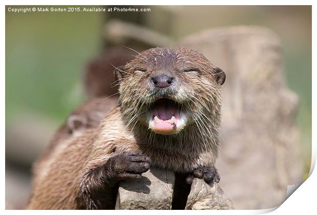  Happy Otter Print by Mark Gorton