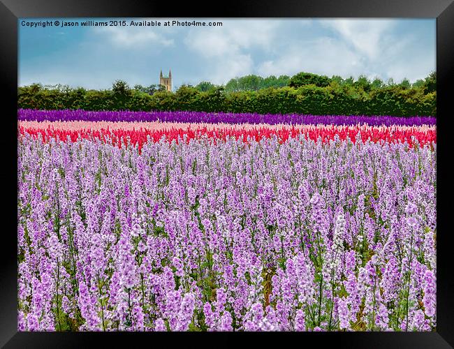 The Confetti Fields of England.  Framed Print by Jason Williams