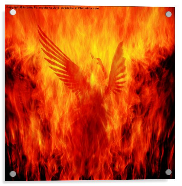  Phoenix Rising Acrylic by Andrew Paranavitana