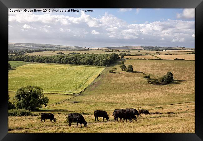 Cissbury Ring, The South Downs Framed Print by Len Brook