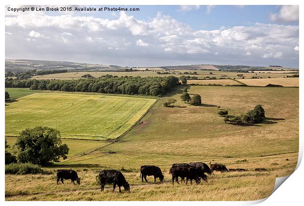 Cissbury Ring, The South Downs Print by Len Brook
