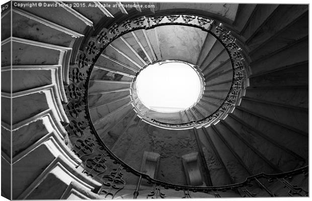   Spiral Staircase Canvas Print by David Irving