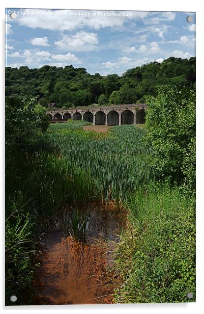 Railway Viaduct At Coalbrookdale Acrylic by rawshutterbug 