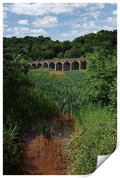 Railway Viaduct At Coalbrookdale Print by rawshutterbug 