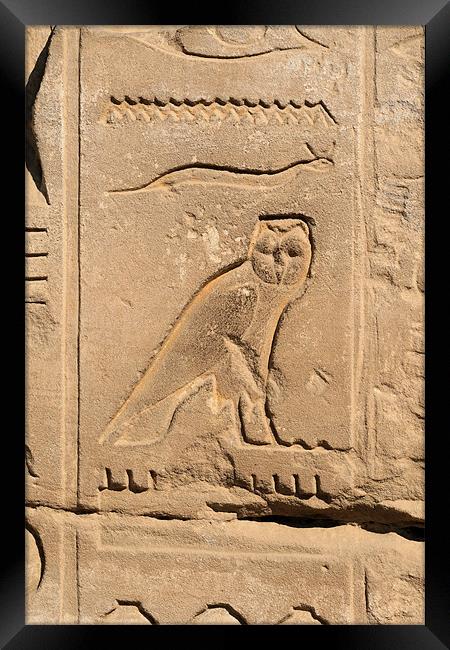 Karnak Temple 48 Framed Print by Ruth Hallam