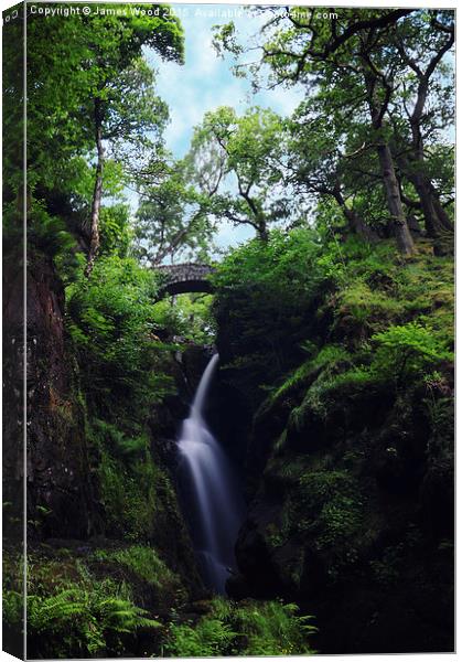 Aira Force Canvas Print by James Wood