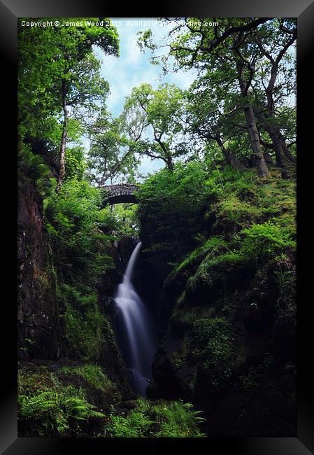 Aira Force Framed Print by James Wood