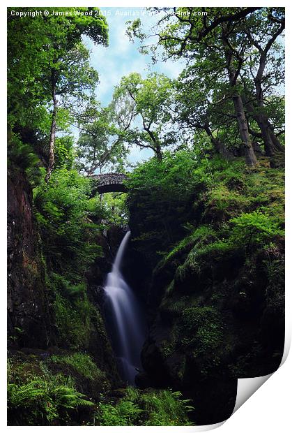 Aira Force Print by James Wood
