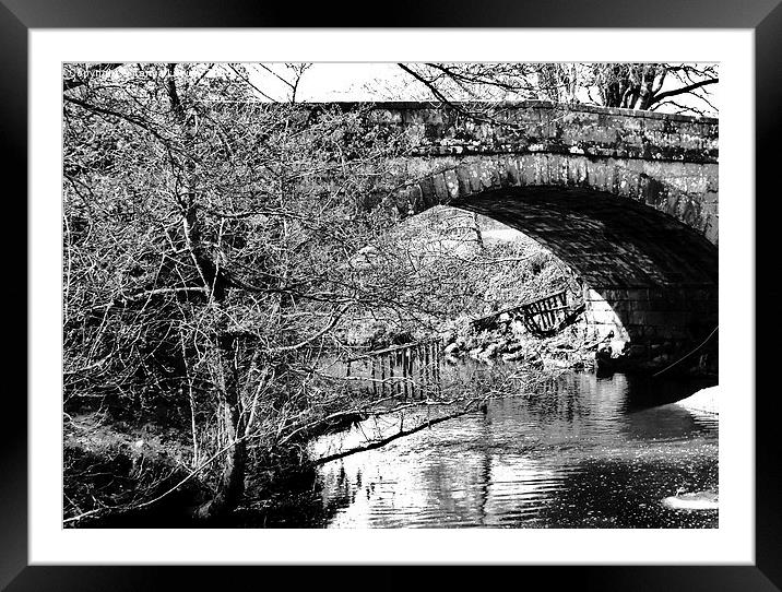  Gowkhall bridge Framed Mounted Print by Tanya Lowery