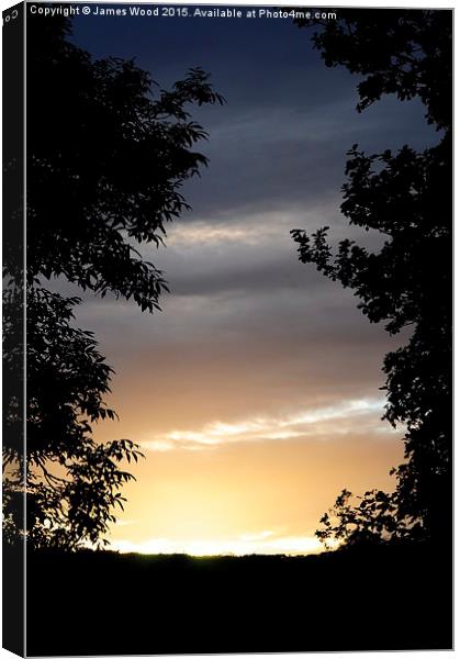 Silhouetted Sunset Canvas Print by James Wood