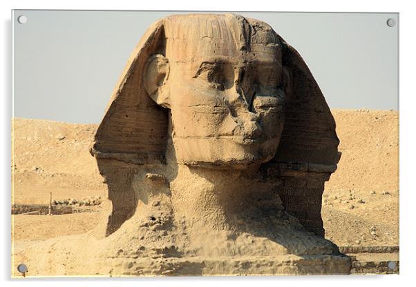 Great Sphinx of Giza Acrylic by Ruth Hallam
