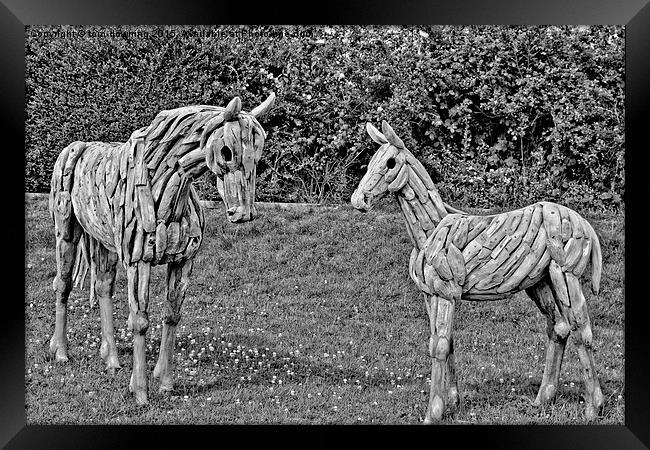  Trojan Horses in Monochrome Framed Print by tom downing