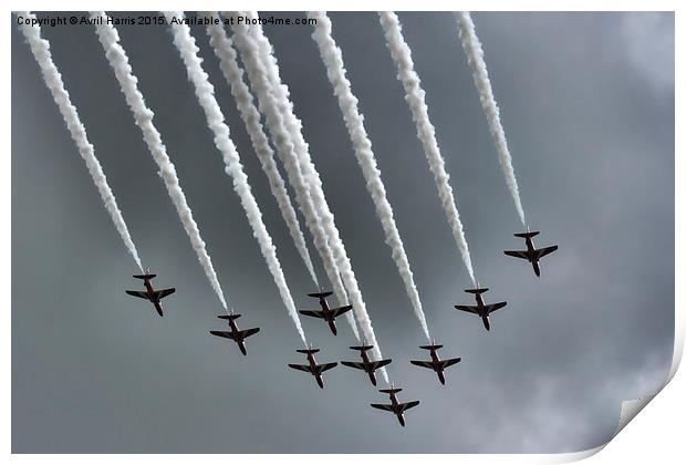  Red Arrows Print by Avril Harris