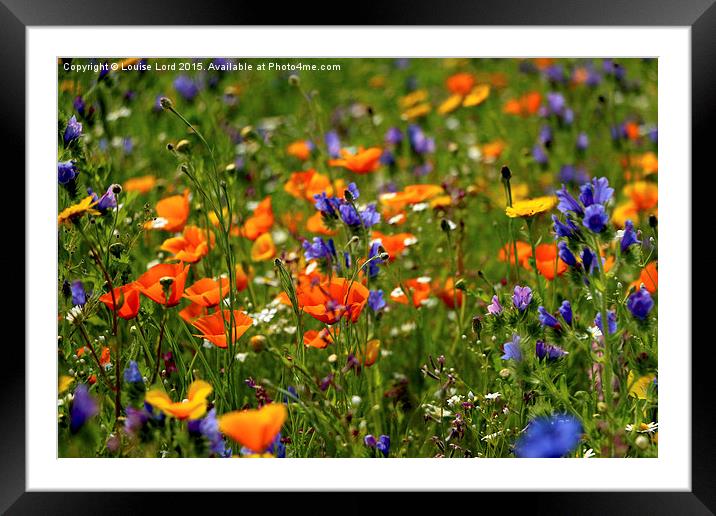  Wild Flower Meadow Framed Mounted Print by Louise Lord