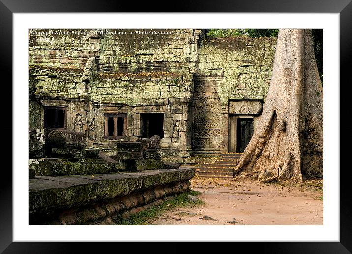 Ta Prohm Temple in Cambodia Framed Mounted Print by Artur Bogacki