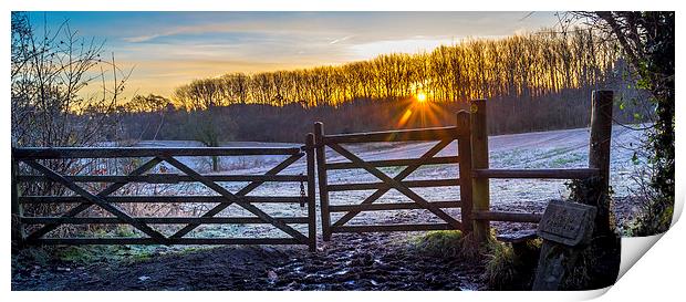  Farm winter sunrise Print by Gary Schulze