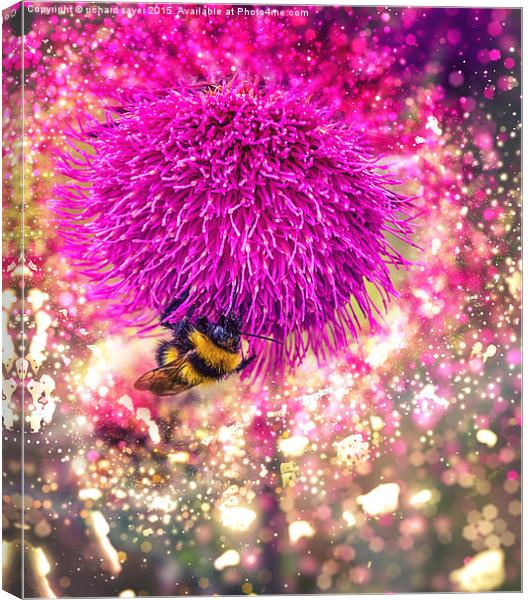  Busy Bee Canvas Print by richard sayer