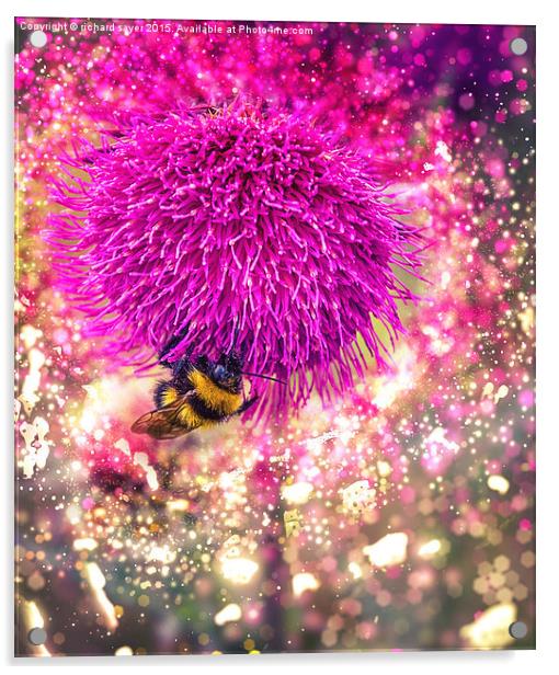  Busy Bee Acrylic by richard sayer